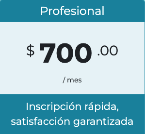 School Minder Profesional